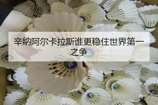 辛纳阿尔卡拉斯谁更稳住世界第一之争