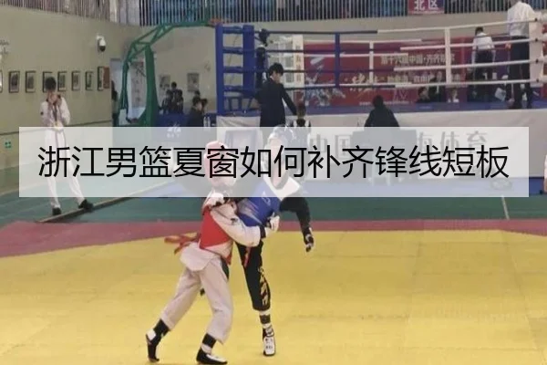 浙江男篮夏窗如何补齐锋线短板